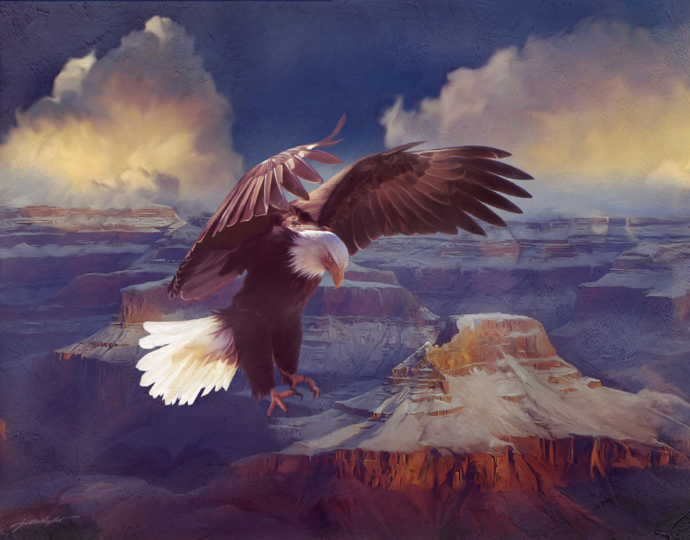 John Enright Eternal Freedom Bald eagle